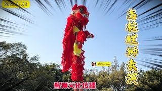 Lion Dance  |  Acrobatic Red Lion Dance Perform | 梅花桩表演 醒狮文化 见者好运见者发财 舞狮的寓意和象征 诸事顺利 高桩醒狮