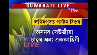 লখিমপুৰৰ এখন চাহ বাগিচালৈ আগমন ঘটিছে দেশ-বিদেশৰ পৰ্যটকৰ