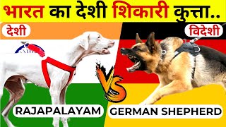 5 Rajapalayam VS German Shepherd Real Fight Comparison | Indian Dog Breeds Vs Foreign Dog Breeds