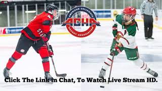 Lindenwood University vs Liberty University Men's Hockey LIVE/10/25