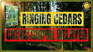 They Delayed the Catastrophe | RINGING CEDARS explained (Book 2)