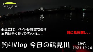 シーバス釣りVlog 今日の鶴見川 2023年10月14日（ホゲ）水温23℃　本日は全く持って何もなし