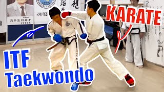 I Fought A Taekwondo Champion!｜Karate vs Taekwondo Ep#3