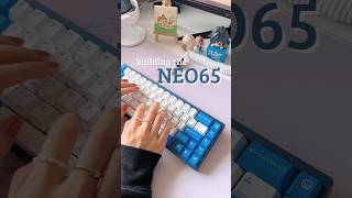 neo65 build - o-ring | POM plate | MMD Princess linear