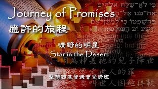 應許的旅程 (Journey of Promises) 8/10: 曠野的明星