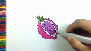 Cara Menggambar Buah Naga - Draw and color dragon fruit
