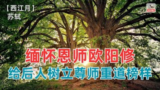 缅怀恩师欧阳修，苏轼给后人树立尊师重道的典范！【西江月】 苏轼（宋）-赏诗词讲故事