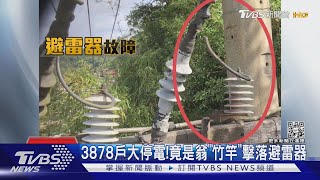 3878戶大停電!竟是翁「竹竿」擊落避雷器｜TVBS新聞