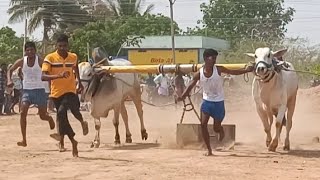 నర్వ మండలం నర్వ గ్రామం నాలుగు పళ్ళ విభాగం బండ లాగుడు పోటీలు 8  జత