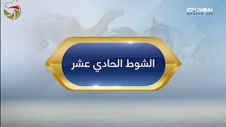 مهرجان ولي عهد دبي – حقاقة للقبائل 24 1 2025 ملخص السباق