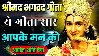 संपूर्ण गीता सार 60 मिनट में | Shrimad Bhagwat Geeta Saar In 60 Minutes | Bhagwat Geeta Saar