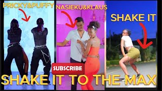 Shake it to the max tiktok challenges @pricky @nasieuku @Klaus(please subscribe)