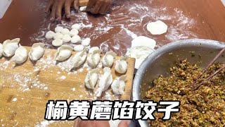 2024年第一次吃榆黄蘑馅饺子，今年不仅种地难，吃蘑菇也挺难