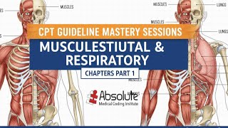 CPT Guideline Mastery Sessions -Musculoskeletal & Respiratory Chapters Part 1
