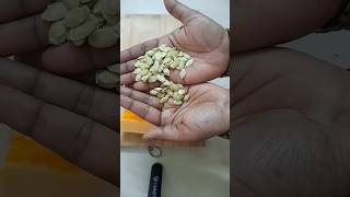 பூசணி விதையின் ஆரோக்கிய நன்மைகள் |  Pumpkin seeds benefits