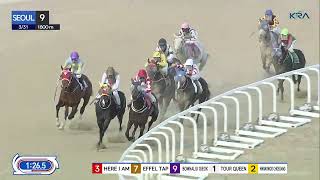 (Seoul) 2024.03.31 R9 Class 4 (1800M) Handicap