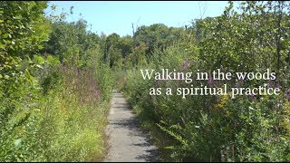 Walking in the Woods as a Spiritual Practice