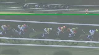 ダイワスカーレット 2007年 第32回エリザベス女王杯(GI) (優勝馬：ダイワスカーレット)