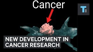 Scientists Have Developed A New Weapon To Fight Cancer