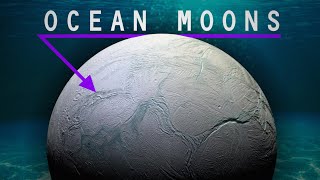 The Ocean Moons of the Outer Solar System