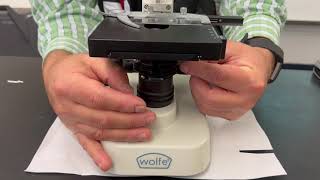 letter e lab