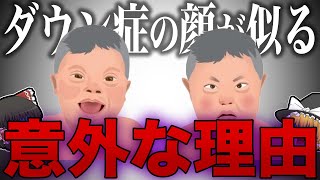 【ゆっくり解説】９割が知らない、ダウン症の顔が似ている理由
