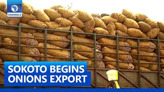 Sokoto State Begins Export Of Onions To Neighbouring Countries