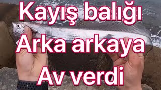 Kayış balığı Sürüye Denk Geldik Her Atış Balık Yaptı !