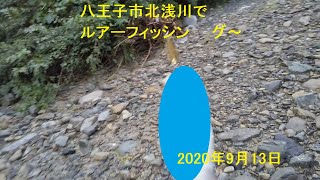 【じんぱちフィッシング　＃1】八王子市北浅川でルアーフィッシング_2020/09/13