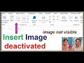 insert image deactivate | image not visible in excel | how to insert picture in ms excel cell |EXCEL