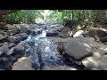 river. national reserve bhagwan mahavir