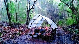 Camping in the pouring rain | build and sleep in a shelter in the wilderness.