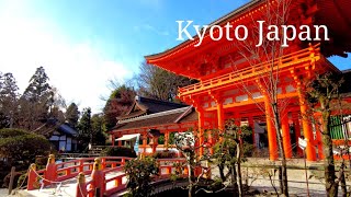 【4K】Kyoto Japan walk〡Beautiful  Shrine and garden〡Kamigamo shrine 〡 ASMR December 2021