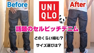 208：【UNIQLO】超コスパの赤耳デニムはどのくらい縮む？