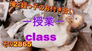 俺と姪っ子のお付き合い－授業－その2865 class