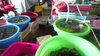 Central Market, Sihanoukville. SeaFood.