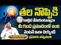 @Dr.MuraliKrishna About Migraine Headache Symptoms & Causes In Telugu | Cause of Daily Headache