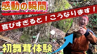 【きのこ採り】初心者の初舞茸体験！感動の瞬間と雨の冒険記！