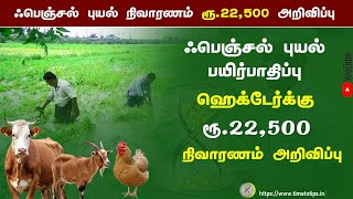 ஃபெஞ்சல் புயல் விவசாயிகளுக்கு ஹெக்டேர் ஒன்றுக்கு ரூ.22,500 நிவாரணம் அறிவிப்பு | Time to Tips |