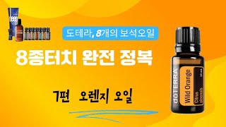 [7편 오렌지 오일] 먹고 바르는 🍊'행복 오일' _ 👑 도테라8종터치 완전정복 시리즈