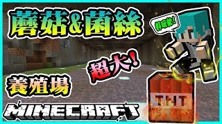 『Minecraft』冬瓜__原味生存 #57 打造超大!蘑菇繁殖室! (菌絲土會生怪?!)『我的世界』