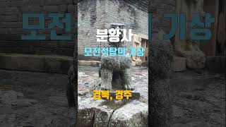 신라의 영광 간직한 3층 모전석탑의 기상, 경주 분황사/#국보 제30호 모전석탑/ #분황사 화쟁국사비부/#분황사 우물석정/ 호국룡변어정/ #경북경주 가볼만한곳