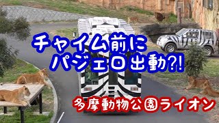 いつもより早い出動のパジェロにみんなびっくり⁉️