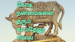 கோடி நன்மைகளை தரும் காமதேனு சிலை | BudhiMadhi | | Tamil |