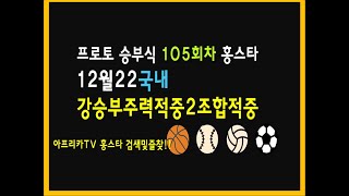 12월21일 프로토 승부식 105회차 국농분석 여농분석 배구분석