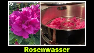 Rosenwasser selber machen | Rosenblüten Hydrolat mit dem Dampfentsafter | Selbstversorgung