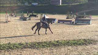 Carramore Boy Arena Eventing Championship 1m Brendon Pyecombe 01.03.20