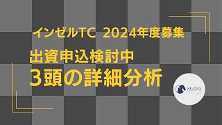 【一口馬主】インゼルTC 2024年度募集 出資申込候補3頭の詳細分析（マスターワークの23・エルパンドールの23・マーガレットメドウの23）【ゆっくり動画】