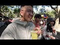 【manlife】雲林古坑綠色隧道公園一日遊｜吃爆美食 咖啡 柳丁 蜂蜜的故鄉 yunlin one day tour 《阿滿生活｜雲林》