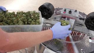 Ez Trim Bud Trimmer Review - CB Nugget Factory